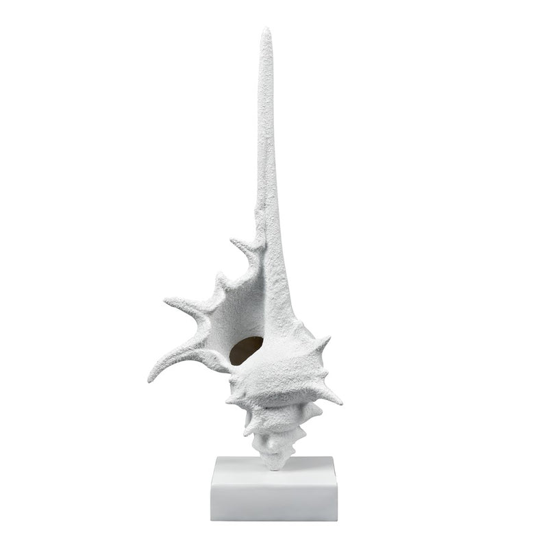 Atlas Lighting Tigertail Shell | Textured White Resin Sculpture on Stand | Coastal Shelf, Console & Entryway Decor | 12 x 9 x 30 in | Model AC11641-01
