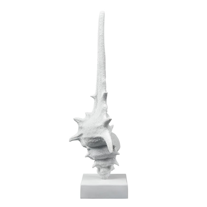 Atlas Lighting Tigertail Shell, Textured White
