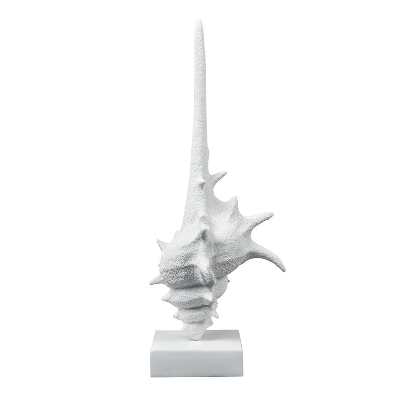 Atlas Lighting Tigertail Shell | Textured White Resin Sculpture on Stand | Coastal Shelf, Console & Entryway Decor | 12 x 9 x 30 in | Model AC11641-01
