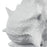 Atlas Lighting Tigertail Shell, Textured White