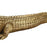 Atlas Lighting What a Croc Sculpture, Gold