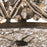 Atlas Lighting Amherst 17'' Wide 6Lt Chandelier, Antique Bronze