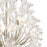 Atlas Lighting Celene 22'' Wide 12Lt Chandelier, Aged Silver/Clear