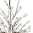 Atlas Lighting Crislett 25'' Wide 5Lt Chandelier, Bronze/Clear