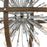 Atlas Lighting Morning Star 19.5'' Wide 6Lt Chandelier, Fir/Chrome