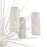Atlas Lighting Sea Urchin 27'' Wide 6Lt Chandelier, White Coral