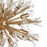 Atlas Lighting Starburst 20'' Wide 15Lt Chandelier, Satin Brass
