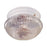 Atlas Lighting Elowen 10'' Wide 2Lt Flush Mount, White/Clear