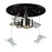 Atlas Lighting Novelty 16'' Wide 2Lt Flush Mount, Astronaut Black