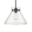 Atlas Lighting Mickley 12'' Wide 1Lt Mini Pendant, Bronze/Clear