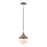 Atlas Mid-Century Schoolhouse 8''W 1Lt Mini Pendant, Pecan/WH
