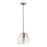 Atlas Lighting Netta 10'' Wide 1Lt Mini Pendant, Satin Nickel/Clear