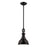 Atlas Lighting Rutherford 9'' Wide 1Lt Mini Pendant, Bronze