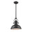 Atlas Lighting Chadwick 13'' Wide 1Lt Pendant, Matte Black