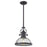 Atlas Lighting Chadwick 13'' Wide 1Lt Pendant, Bronze/Clear