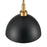 Atlas Lighting Pelham 10''W 2Lt Pendant, Satin Brass/Matte Black