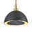 Atlas Lighting Pelham 10''W 2Lt Pendant, Satin Brass/Matte Black
