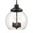 Atlas Lighting Chandra 13'' Wide 4Lt Pendant, Matte Black/Clear