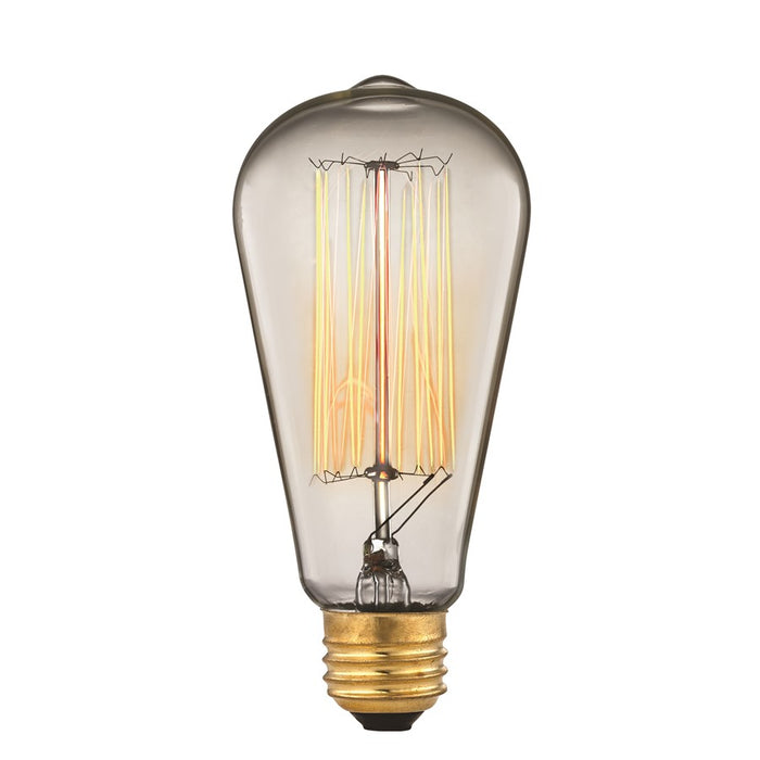Atlas Lighting Medium Bulb, Shape ST58 Base E26, Clear/Clear