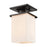 Atlas Lighting Broad Street 5.5''W 1Lt Outdoor Flush, Bronze/White - OL11004-BZ