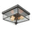 Atlas Lighting Lankford 10''W 2Lt Outdoor Flush Mount, Bronze/Clear - OL11008-BZ