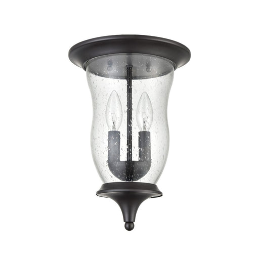 Atlas Lighting Trinity 9''W 2Lt Outdoor Flush Mount, Bronze/Clear