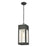 Atlas Lighting Angus 7'' Wide 1Lt Outdoor Pendant, Charcoal/Clear