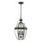 Atlas Lighting Ashford 12'' Wide 3Lt Outdoor Pendant, Bronze/Clear