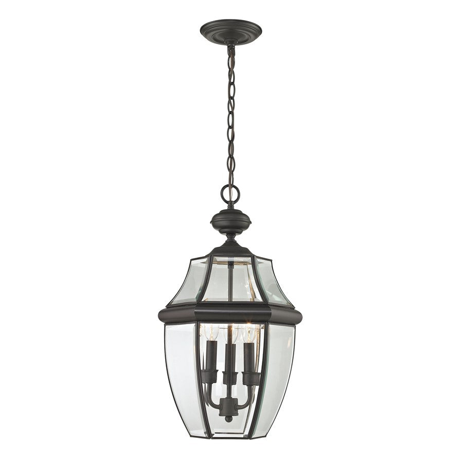Atlas Lighting Ashford 12'' Wide 3Lt Outdoor Pendant, Bronze/Clear