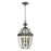 Atlas Lighting Ashford 12'' Wide 3Lt Outdoor Pendant, Nickel/Clear