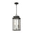 Atlas Lighting Braddock 10'' Wide 2Lt Outdoor Pendant, Bronze/Clear