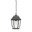 Atlas Lighting Covington 9.5''W 1Lt Outdoor Pendant, Black/Clear