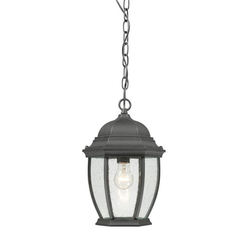 Atlas Lighting Covington 9.5''W 1Lt Outdoor Pendant, Black/Clear