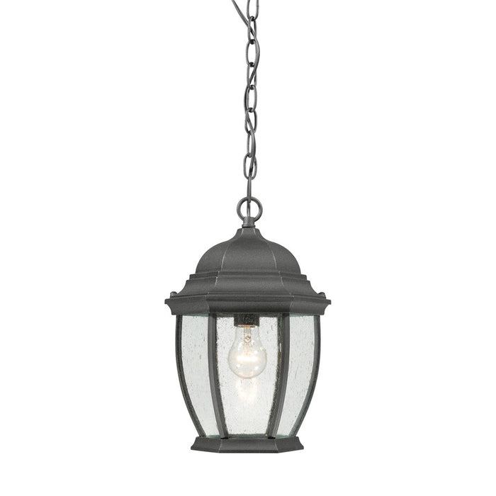Atlas Lighting Covington 9.5''W 1Lt Outdoor Pendant, Black/Clear