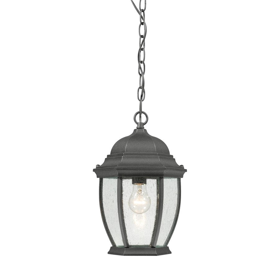 Atlas Lighting Covington 9.5''W 1Lt Outdoor Pendant, Black/Clear