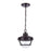 Atlas Lighting Eastport 9'' Wide 1Lt Outdoor Pendant, Bronze/Clear