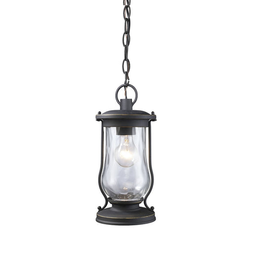 Atlas Lighting Farmstead 6'' Wide 1Lt Outdoor Pendant, Black/Clear
