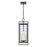 Atlas Lighting Gladwyn 8.25'' Wide 3Lt Outdoor Pendant, Black/Clear