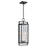 Atlas Lighting Gladwyn 8.25'' Wide 3Lt Outdoor Pendant, Black/Clear