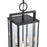 Atlas Lighting Gladwyn 8.25'' Wide 3Lt Outdoor Pendant, Black/Clear