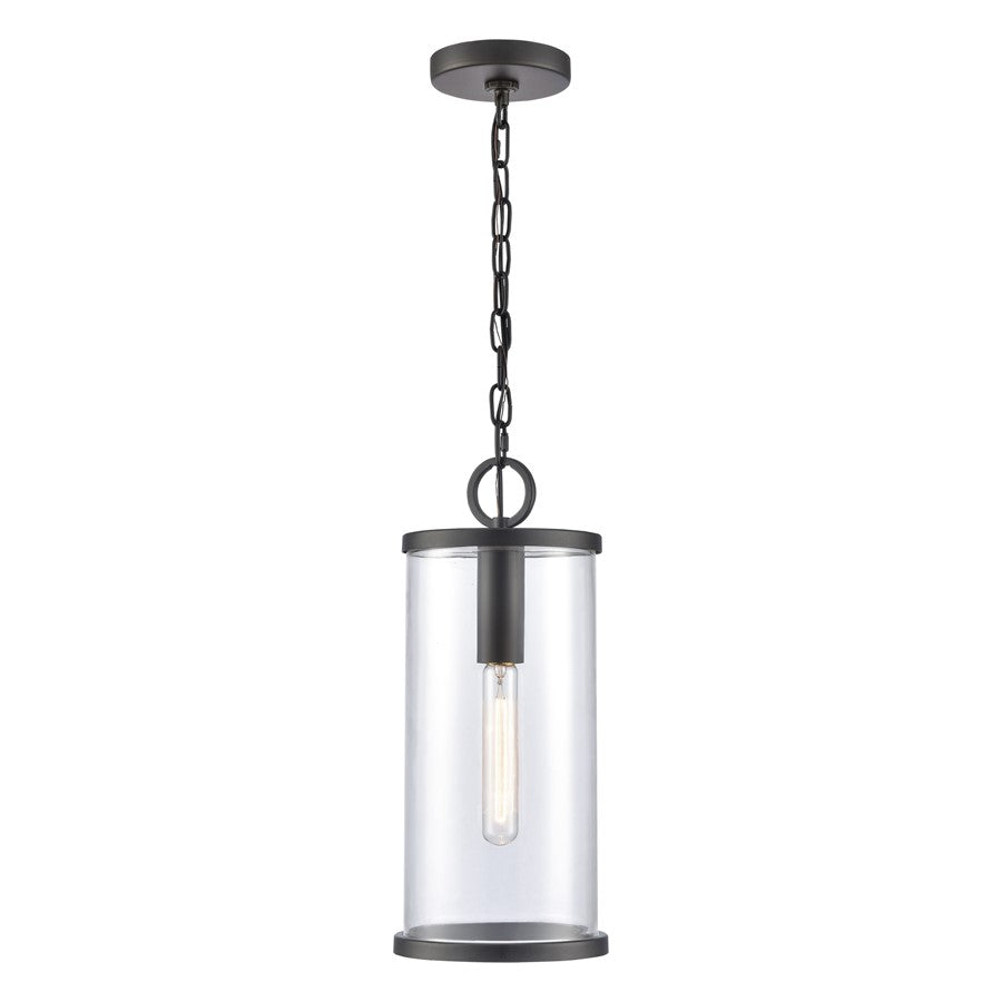 Atlas Lighting Hopkins 7.25'' Wide 1Lt Outdoor Pendant, Black/Clear