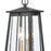 Atlas Lighting Kirkdale 9'' Wide 2Lt Outdoor Pendant, Black/Clear