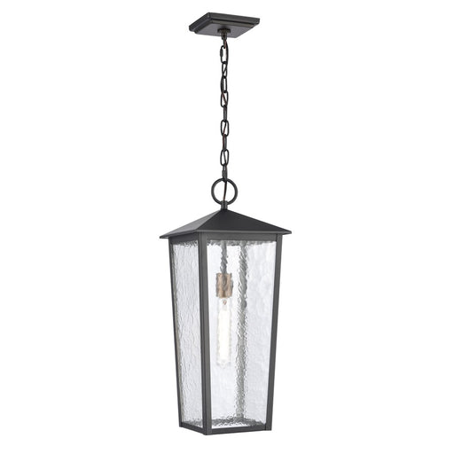 Atlas Lighting Marquis 9'' Wide 1Lt Outdoor Pendant, Black/Clear