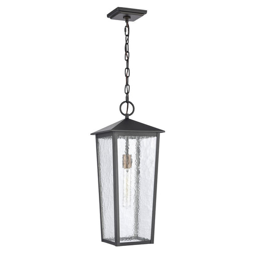 Atlas Lighting Marquis 9'' Wide 1Lt Outdoor Pendant, Black/Clear