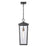 Atlas Lighting Marquis 9'' Wide 1Lt Outdoor Pendant, Black/Clear