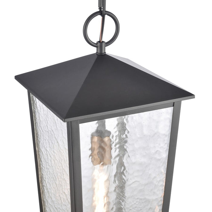 Atlas Lighting Marquis 9'' Wide 1Lt Outdoor Pendant, Black/Clear