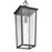 Atlas Lighting Marquis 9'' Wide 1Lt Outdoor Pendant, Black/Clear