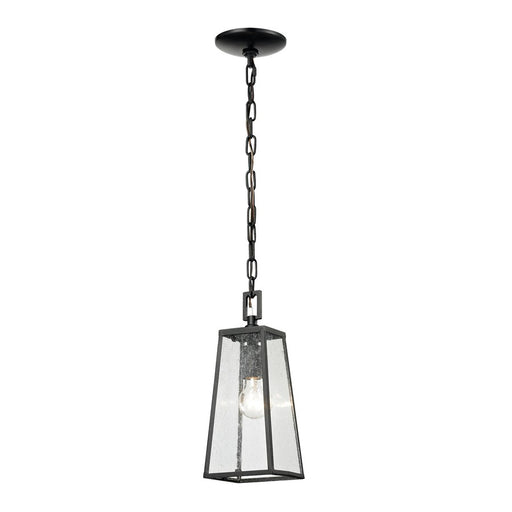 Atlas Lighting Meditterano 5''W 1Lt Outdoor Pendant, Black/Clear
