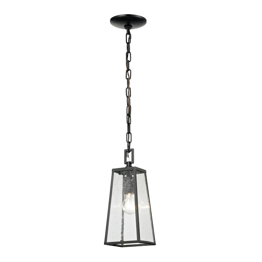 Atlas Lighting Meditterano 5''W 1Lt Outdoor Pendant, Black/Clear