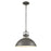 Atlas Lighting North Shore 18''W 1Lt Outdoor Pendant, Iron/Bronze
